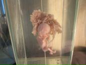 Любава Субботина фотография #10 (источник - https://vk.com/id69171592)