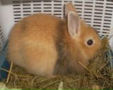 Фотография Верюжской Тани