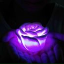 Таня Мізерна фотография #4 (источник - https://vk.com/id34065204)