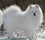 Фотография Колзиной Наташи