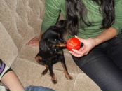 Фотография Гончаровой Татьяны