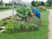 Фотография Павловича Феликса