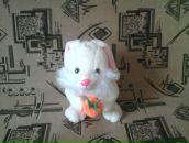 Володимир Шалівський фотография #29 (источник - https://vk.com/id38528279)