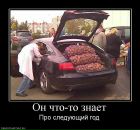 Олег Молофеев фотография #45 (источник - https://vk.com/id96820106)