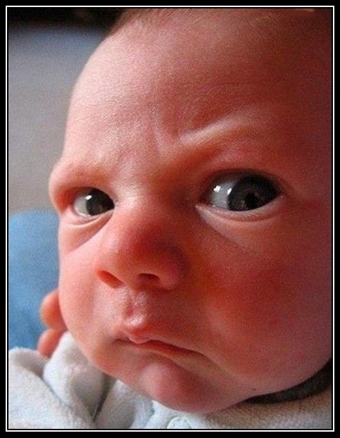 Сергей Шредер фотография #21