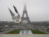 Фотография Ольгиной Ольги