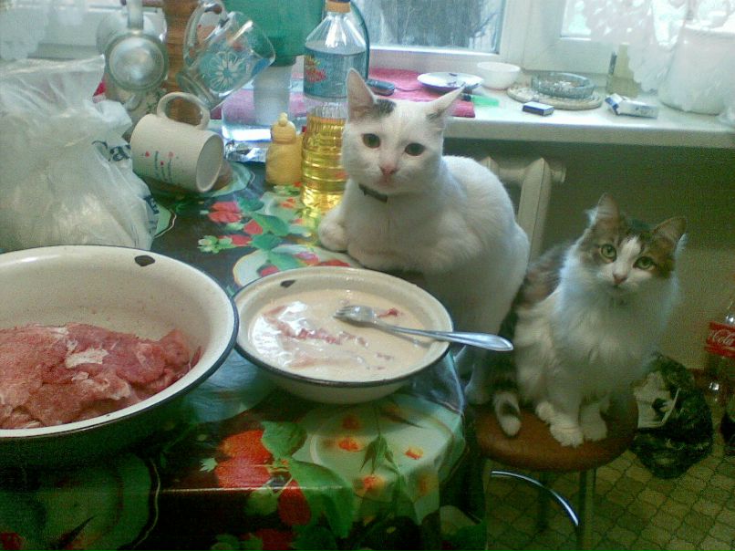 Сергей Шеховцов фотография #15