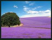 Фотография Никитченко Татьяны