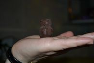 Фотография Савенковой Натальи