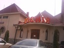 Любчик Гіджеліцький фотография #37 (источник - https://vk.com/id153156986)