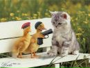 Коля Завінський фотография #31 (источник - https://vk.com/id80019342)