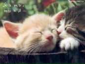 Фотография Фандеевой Юлии