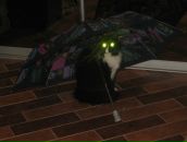 Фотография Почтовихиной Лидочки