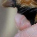 Каріно4ка♥ Шрамко фотография #25 (источник - https://vk.com/id147791993)