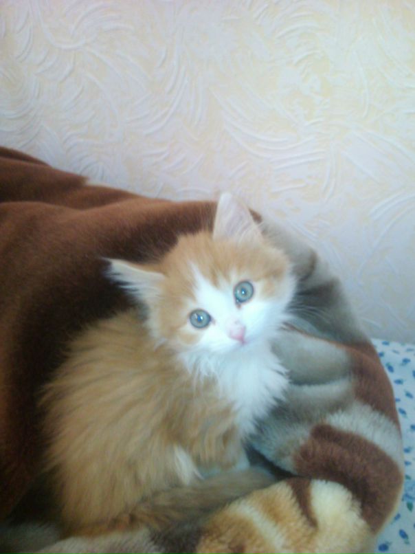 Игорь Васильев фотография #35