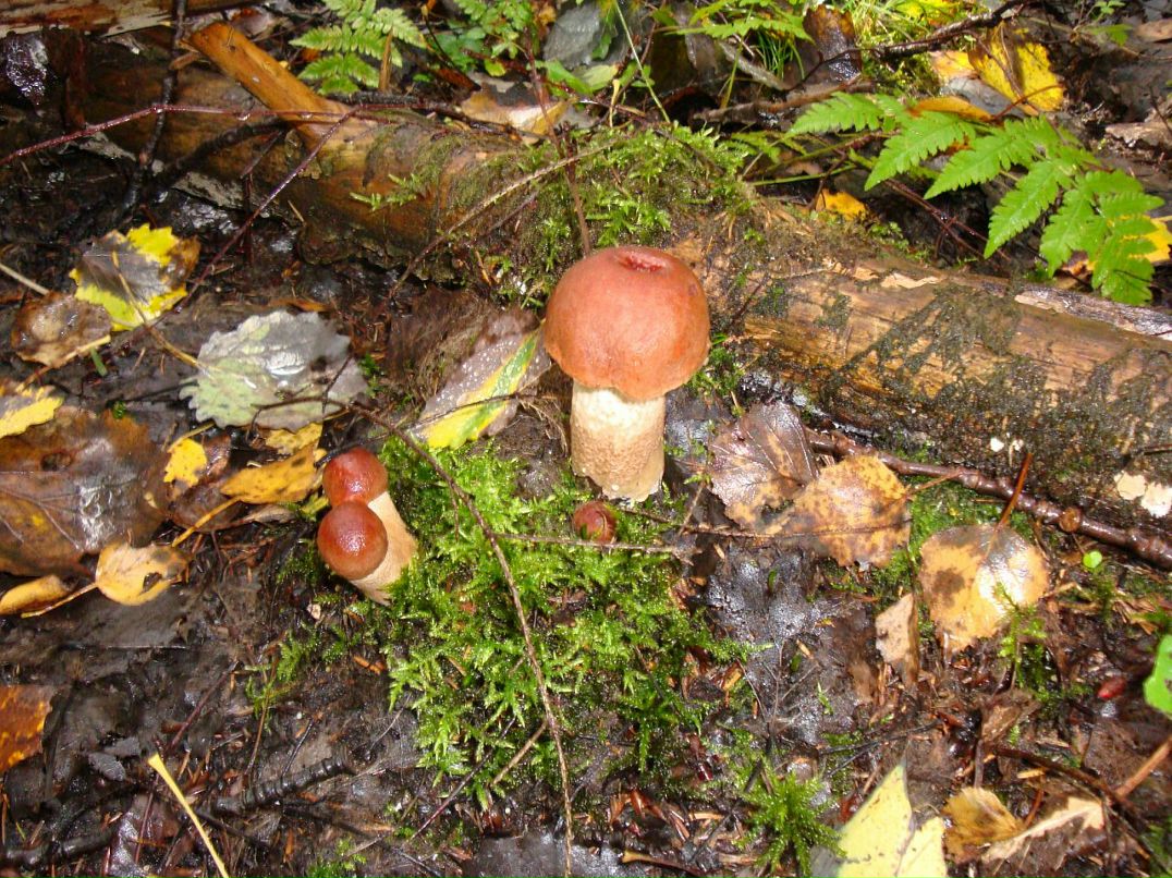 Эмма Кубло фотография #31