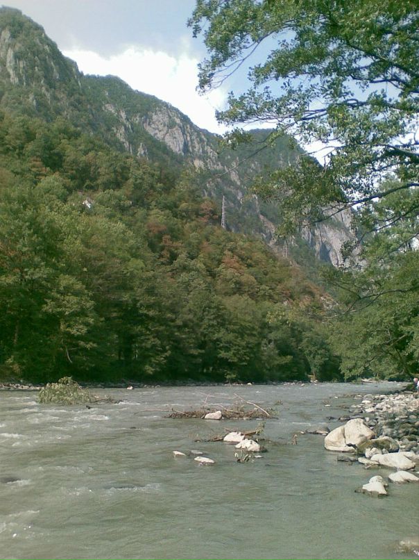 Sergio Sergio фотография #31