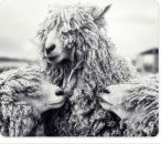 Фотография Калугиной Юлии