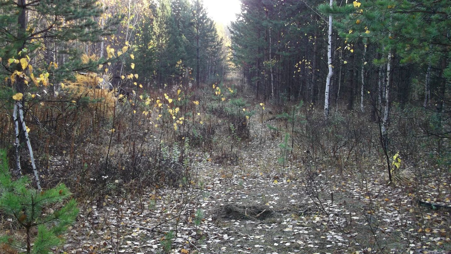 Александр Бабенко фотография #49