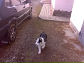 Міша Трейтурак фотография #44 (источник - https://vk.com/id63796007)