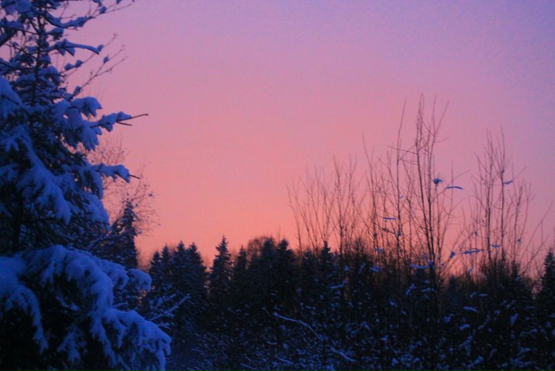 Дарья Базанова фотография #16