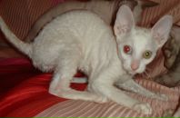 Фотография Молчановой Ирины