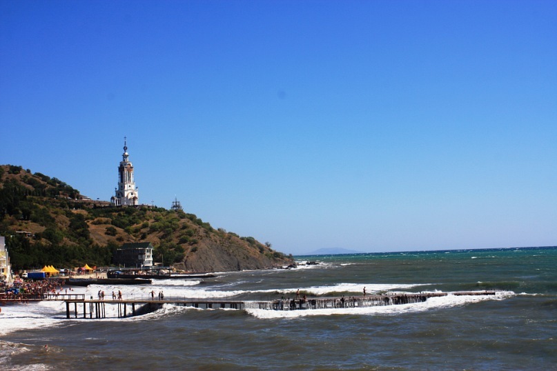 Phasma Morulus фотография #14