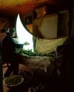 Фотография Дорохиной Александры