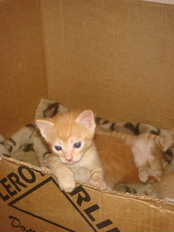 Оля Хапцова фотография #31