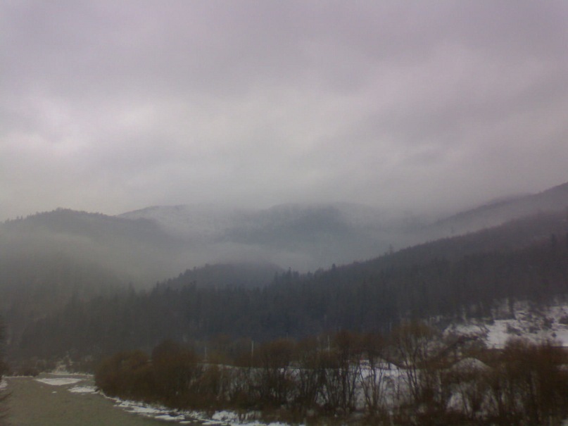 Дима Тарасенко фотография #31
