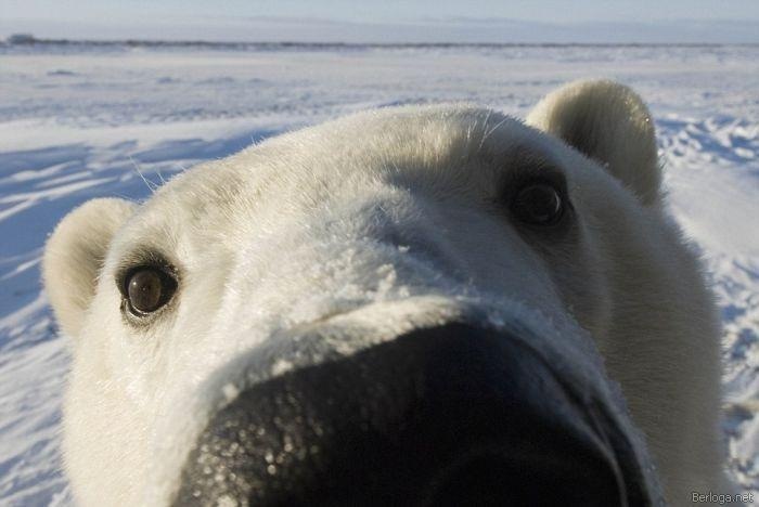 Сергей Бармалей фотография #7