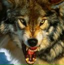 Міша Бокоч фотография #29 (источник - https://vk.com/id131585853)