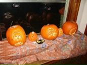 Фотография Цымбал Оксаны