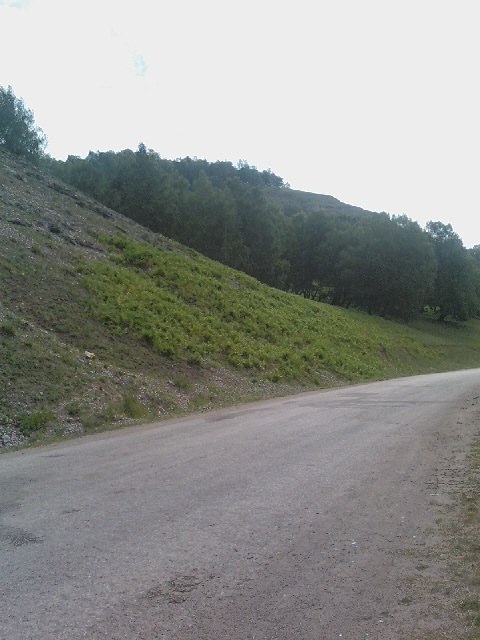 Сергей Мышкин фотография #50