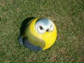 Фотография Преображенской Ольги