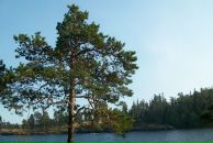 Вадзім Урублеускі фотография #27 (источник - https://vk.com/id14968982)