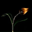 Петр Шицын фотография #11 (источник - https://vk.com/id17328919)