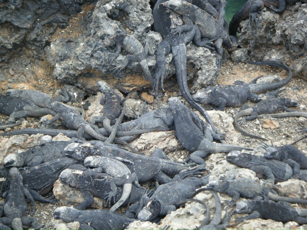 Julia Gorodetskaja фотография #18