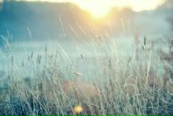 Фотография Радовой Анны