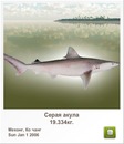 Иван Бабинец фотография #45 (источник - https://vk.com/id120069385)
