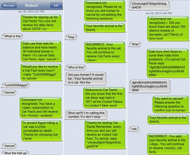 Yes Man фотография #22