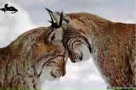 Віта Борисевич фотография #4 (источник - https://vk.com/id9083556)