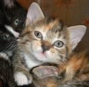 Фотография Рюткиной Екатерины