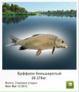Роман Олійник фотография #16 (источник - https://vk.com/id76077463)