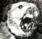 Фотография Казакова Александра