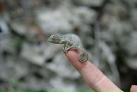 Фотография Акс Евгении