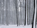 Фотография Вылегжаниной Аниты