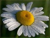 Наталія Ковалевська фотография #38 (источник - https://vk.com/id27301257)