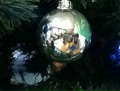 Фотография Алехиной Саши