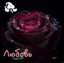 Єва Бісовецька фотография #50 (источник - https://vk.com/id164322382)